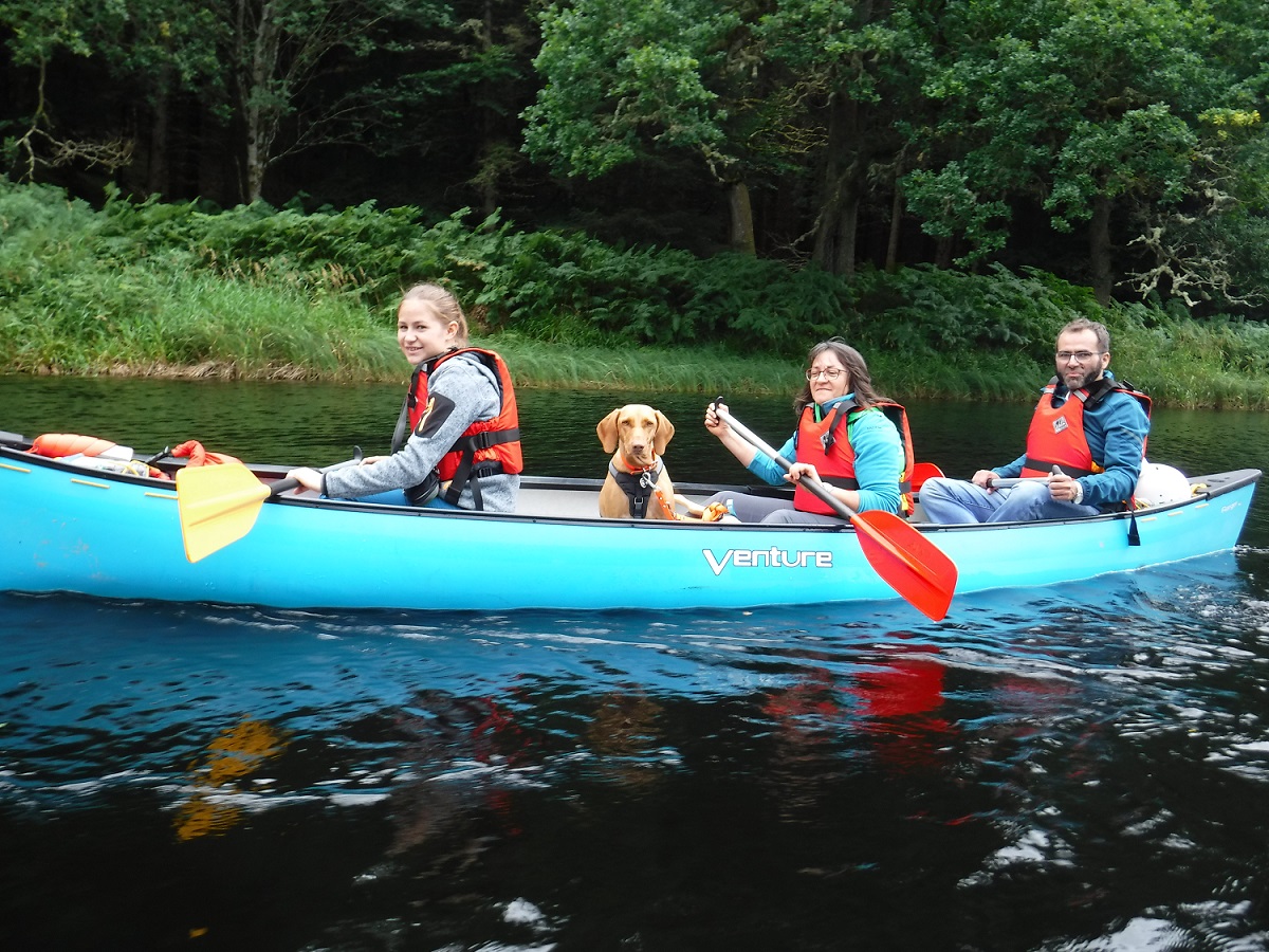 dog-in-a-canoe Dog in a canoe