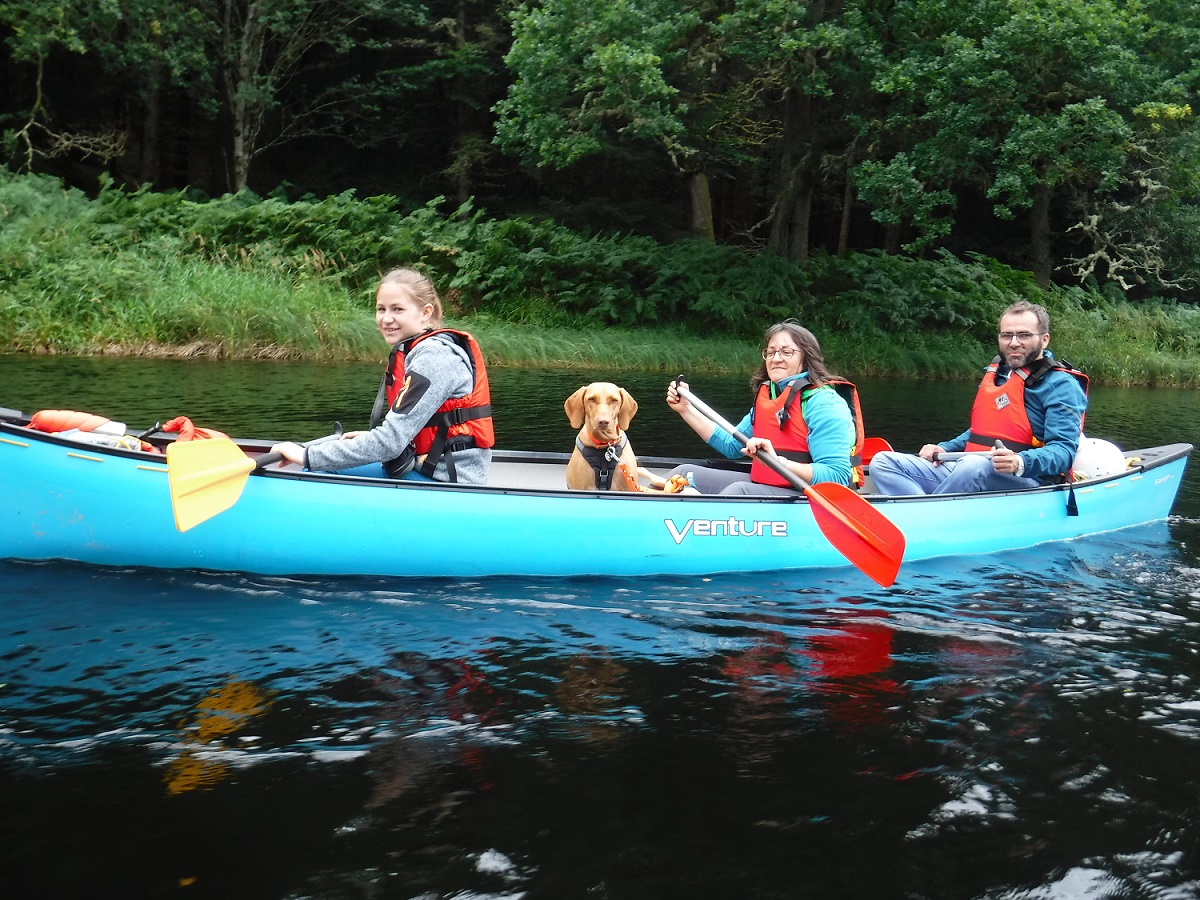 Dog in a canoe