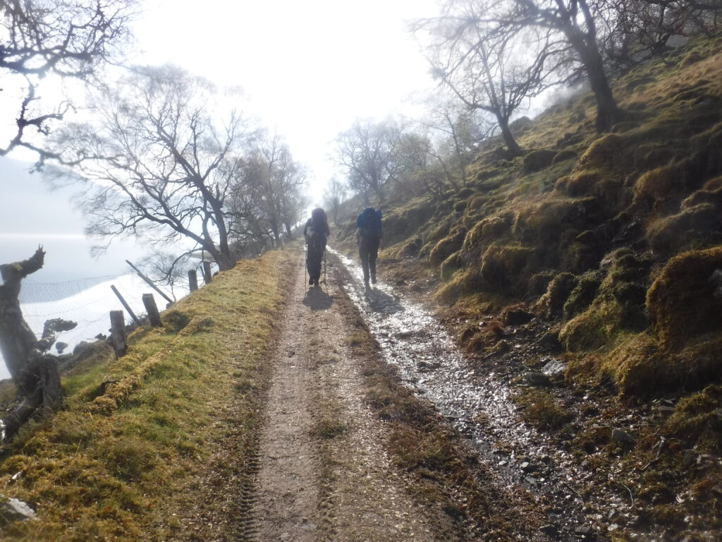 Walkers Walkers